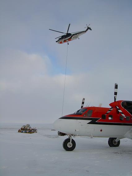 Lyall Point clean up