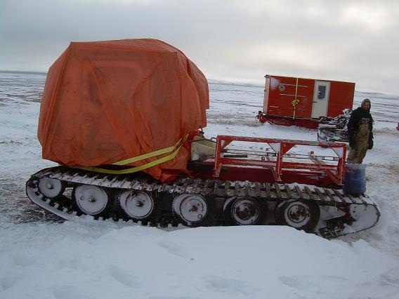 Lyall Point clean up