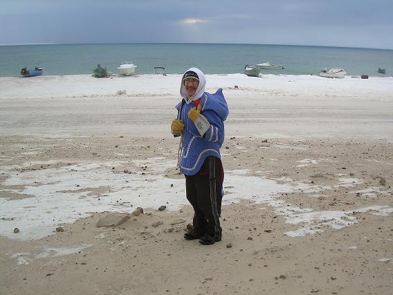 Oct 11 2008 whale survey