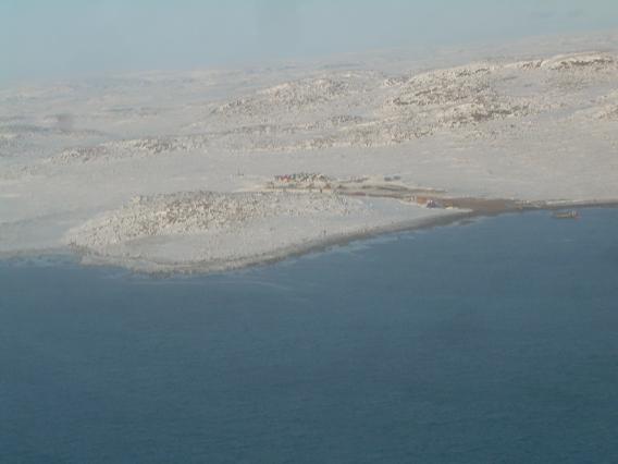 Oct 11 2008 whale survey