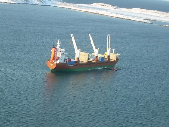 Oct 11 2008 whale survey