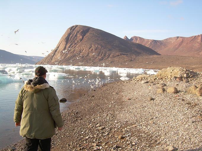 Sept tour in Resolute