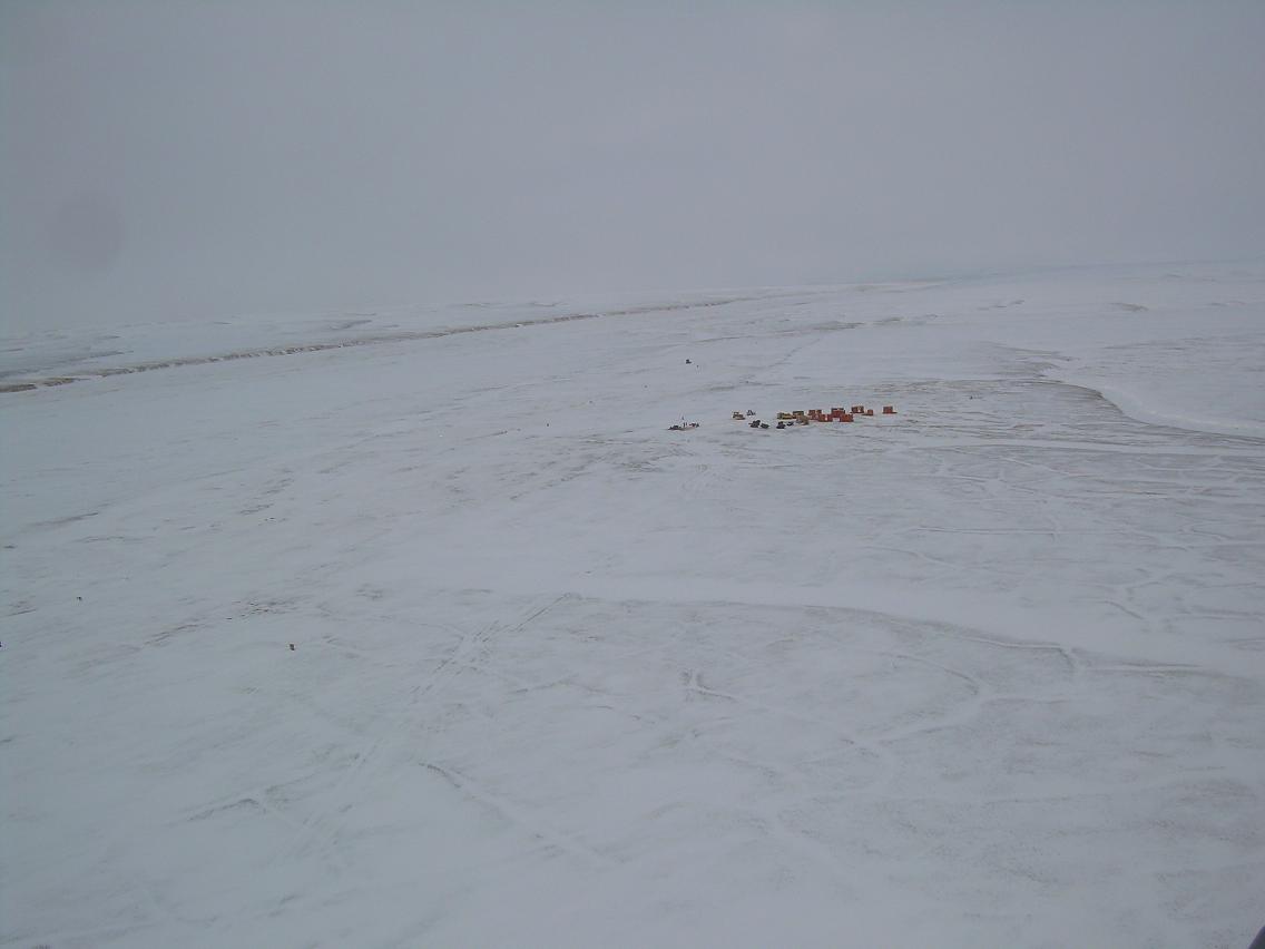 Lyall Point clean up