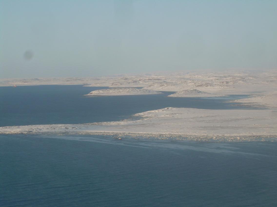 Oct 11 2008 whale survey